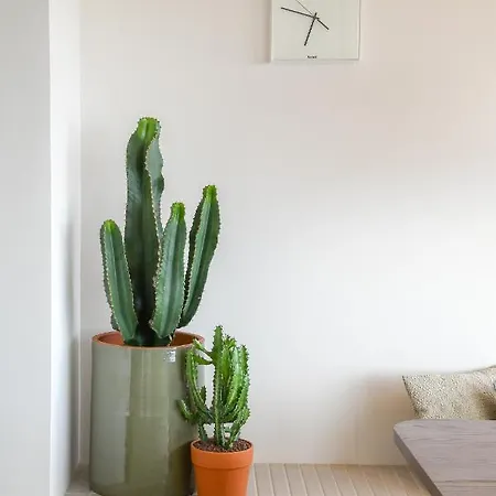 Mercator - 2 Slaapkamer Met Open Uitzicht オステンド