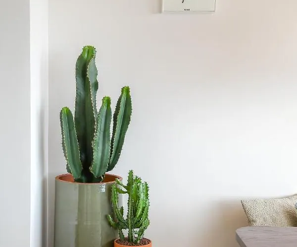 Mercator - 2 Slaapkamer Met Open Uitzicht Ostende